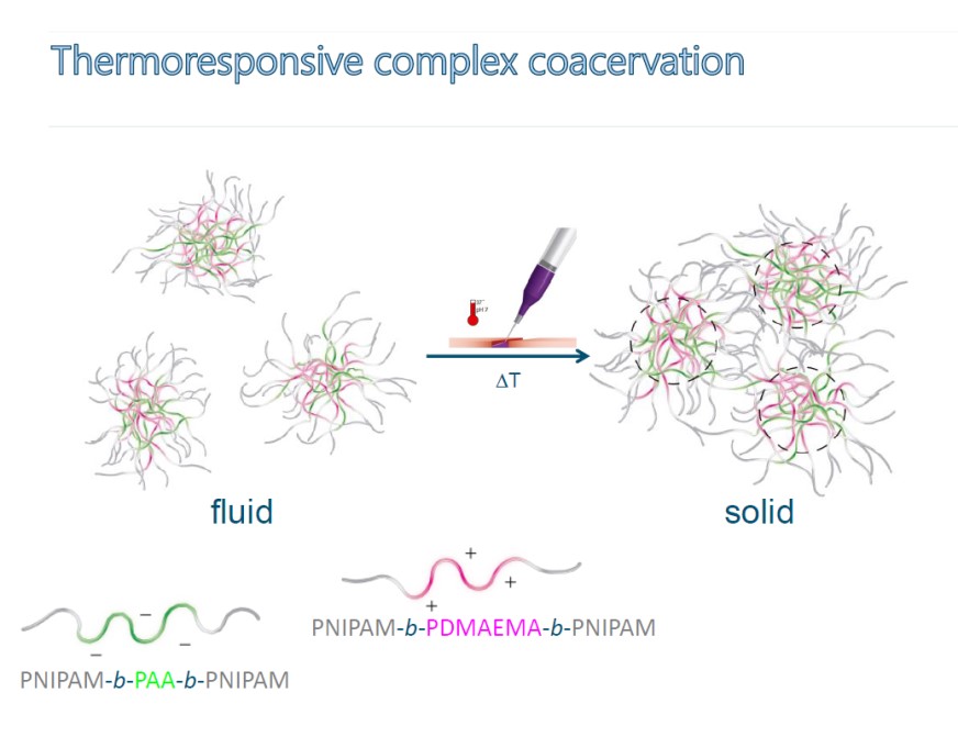 Thermoresponsive complex coacervation