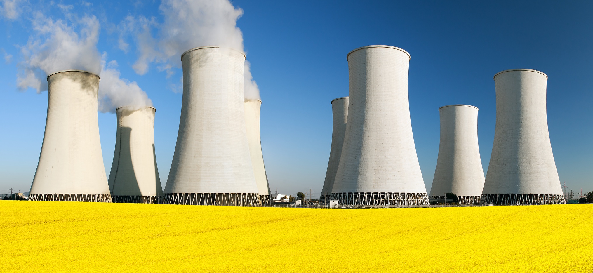 Nuclear power plant with field of rapeseed