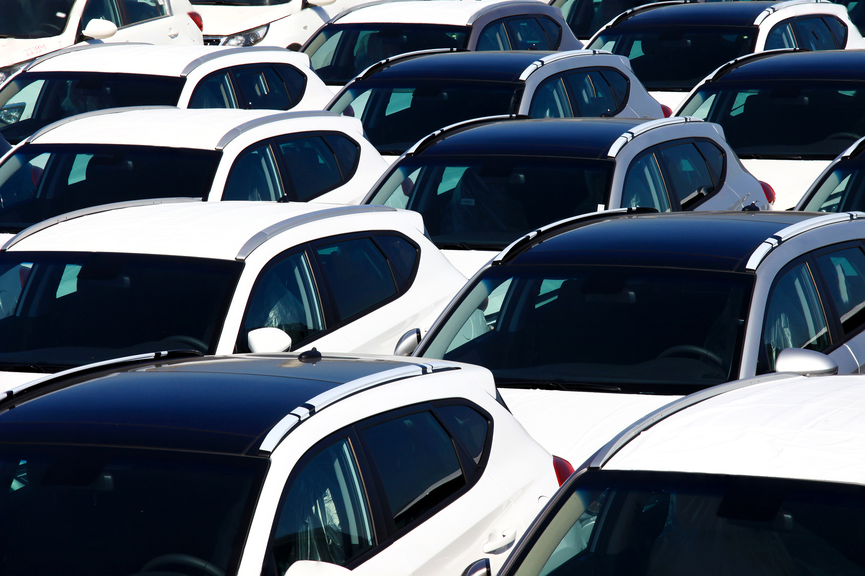 cars covered in protective white sheet